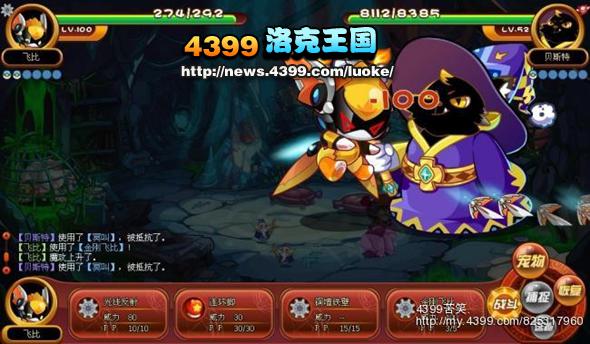  洛克王国飞比之金刚飞比解析