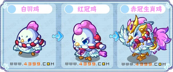 卡布西游赤冠生肖鸡刷什么 练级
