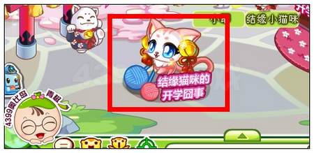结缘猫咪的庇护