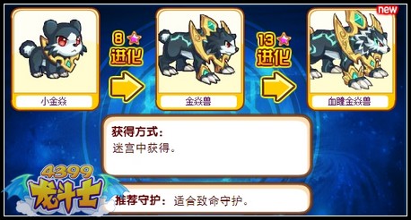 龙斗士小金焱守护什么