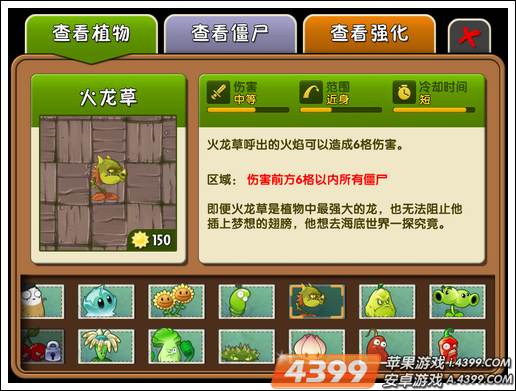火龙草