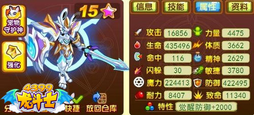 龙斗士神剑白夜65级守护属性