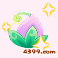 小花仙胭脂花 胭脂花花种