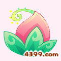 小花仙胭脂花 胭脂花花种