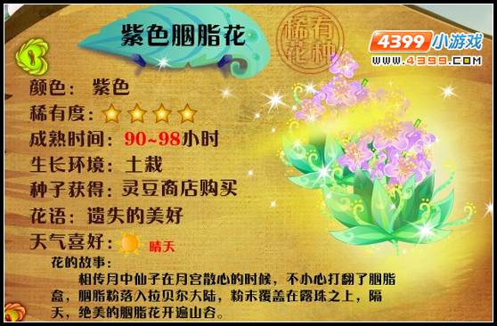 小花仙紫色胭脂花 紫色胭脂花花种