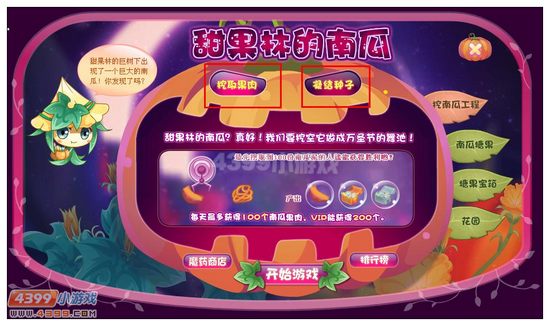小花仙甜果林的南瓜