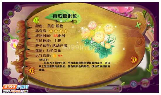小花仙南瓜糖果花