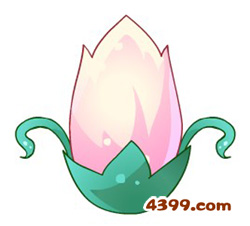 小花仙月见草 小花仙月见草花种