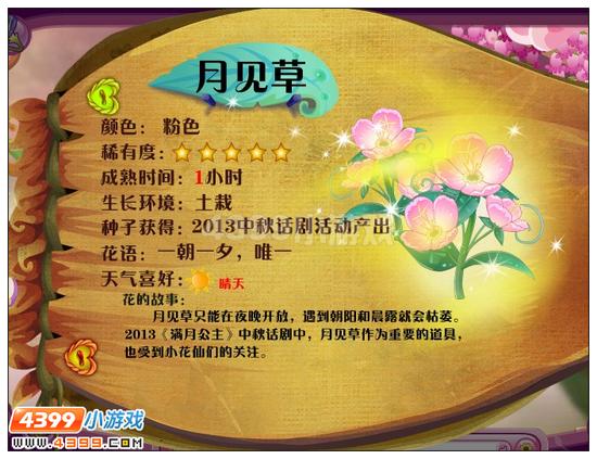 小花仙月见草 小花仙月见草花种