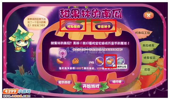 小花仙黄色南瓜藤