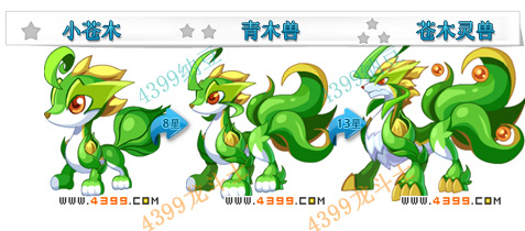 龙斗士苍木灵兽