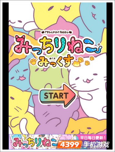 萌猫养成罐上架
