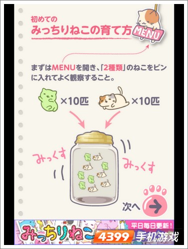 萌猫养成罐上架