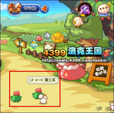 洛克王国风鹰怎么得