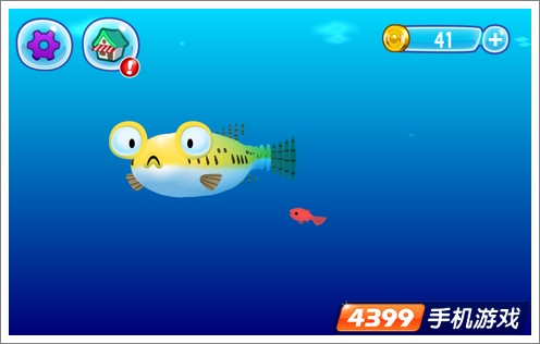 3D河豚鲍勃评测