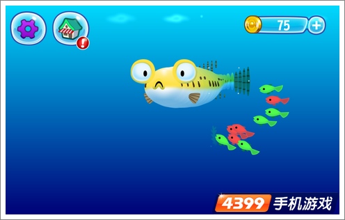 3D河豚鲍勃