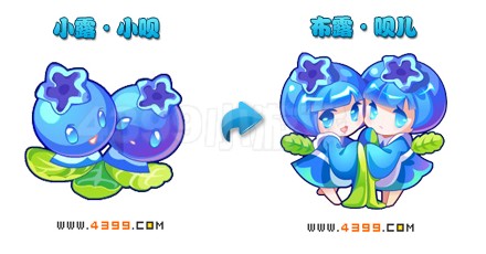 奥雅之光小露·小呗