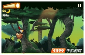 香蕉金刚坐骑动物介绍