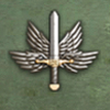空战1945僚机