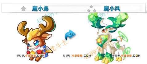 龙斗士鹿小风