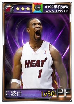 NBA梦之队波什