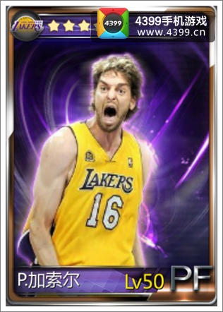 NBA梦之队加索尔资料