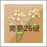 摩尔庄园油菜花