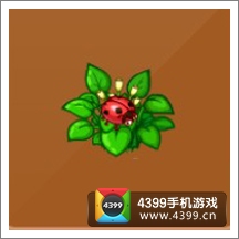摩尔庄园豪华版七星瓢虫