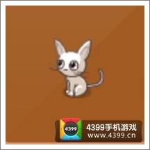 摩尔庄园豪华版小白猫