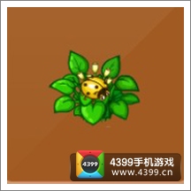 摩尔庄园豪华版黄色瓢虫