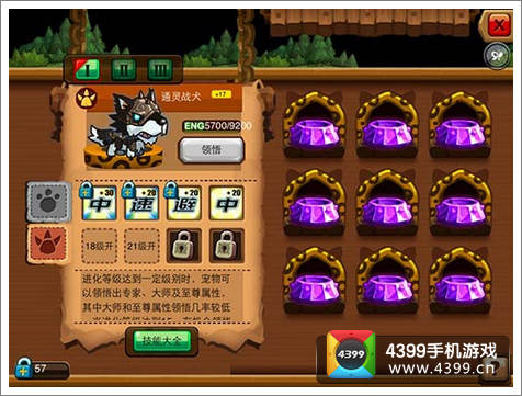 乱斗堂宠物