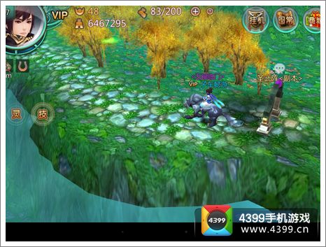 贺新版 炫时装坐骑