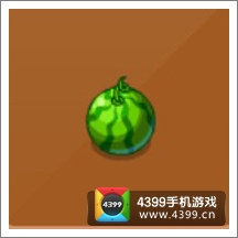 摩尔庄园豪华版西瓜圆围栏