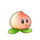 仙桃