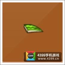 摩尔庄园豪华版神秘西瓜皮