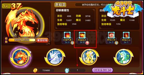 龙斗士召唤石怎么用