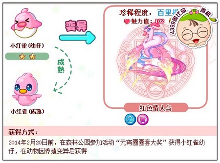 奥比岛红色情人鸟怎么得