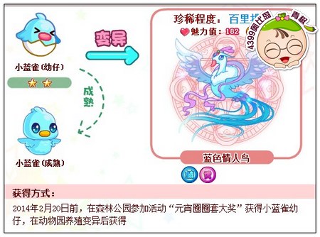 奥比岛蓝色情人鸟怎么得
