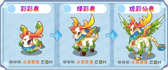 卡布西游琉彩仙鹿刷什么 练级