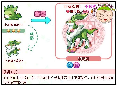 奥比岛花羽鹿怎么得