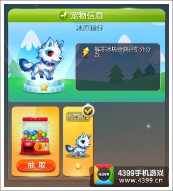 天天星连萌宠物大全