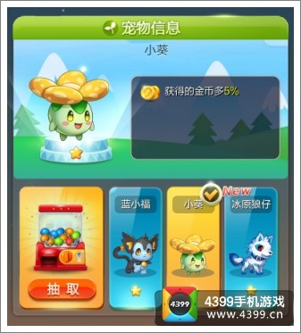 天天星连萌小葵宠物怎么样