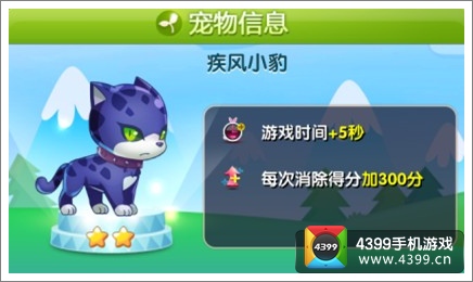 天天星连萌疾风小豹怎么样