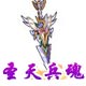 龙斗士圣天兵魂