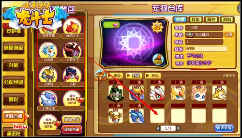 龙斗士怎么把宠物放到仓库