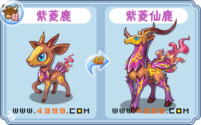 卡布西游紫菱仙鹿刷什么 练级