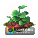 全民小镇红薯种子建造时间 所需等级详细数据
