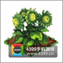 全民小镇向日葵种子建造时间 所需等级详细数据
