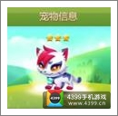 天天爱消除白玉灵猫宠物