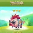 天天爱消除痞子猪宠物 新版宠物大全